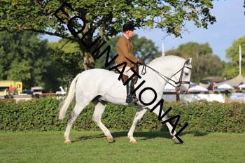 NNP-1442