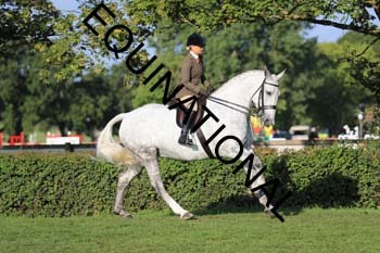 NNP-1459