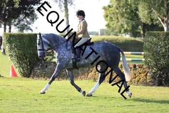 NNP-1476