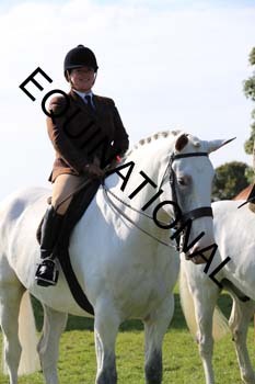 NNP-1684
