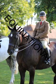 NNP-1720