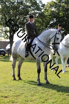 NNP-1779