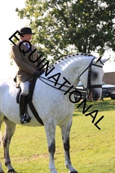 NNP-1792