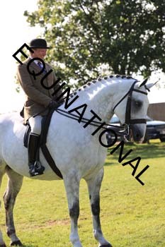 NNP-1793