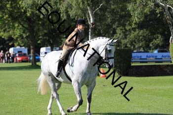 NNP-1805