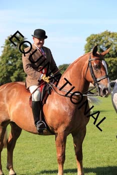 NNP-1860