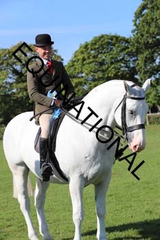 NNP-1875