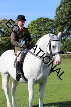 NNP-1879