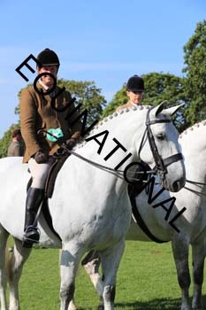 NNP-1881