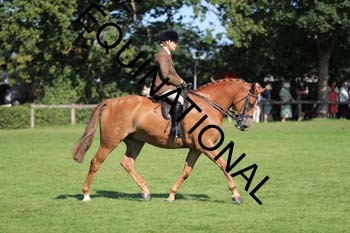NNP-2147