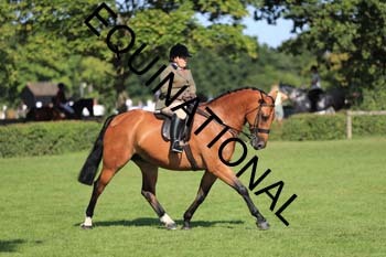 NNP-2149