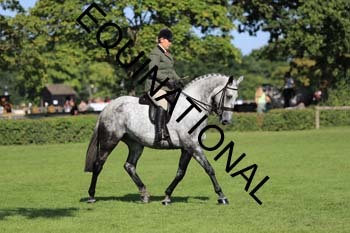 NNP-2155