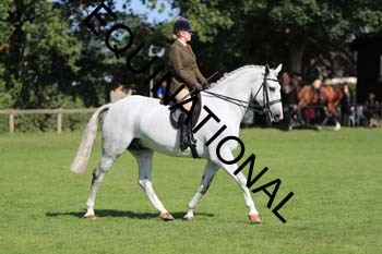 NNP-2187
