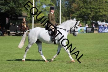 NNP-2189