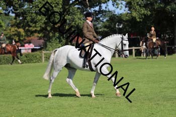 NNP-2190
