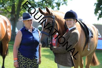 NNP-2345
