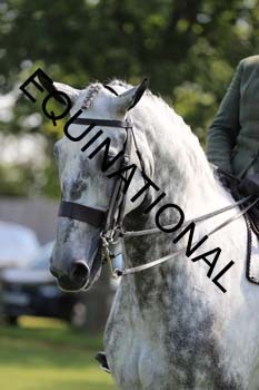 NNP-2375