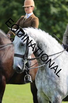NNP-2423