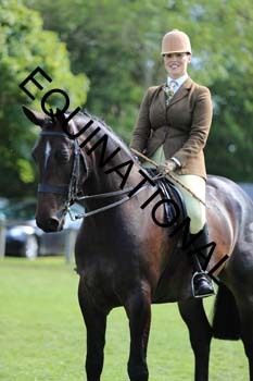 NNP-2426
