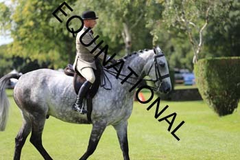 NNP-2468