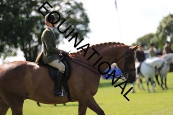NNP-2483
