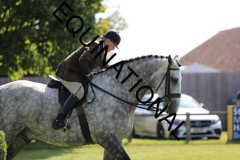 NNP-2484