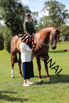 NNP-2492