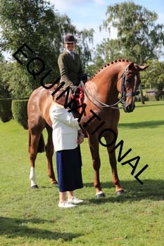 NNP-2493