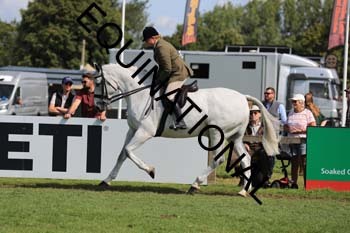 NNP-2559