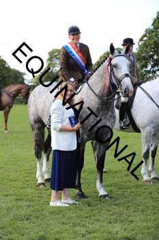 NNP-2638