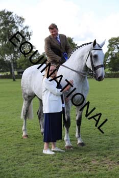 NNP-2645