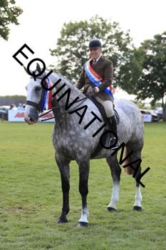 NNP-2653