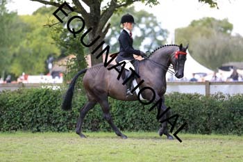 NNP-2795
