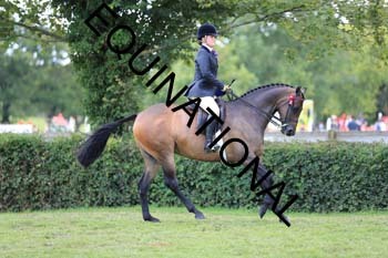 NNP-2813
