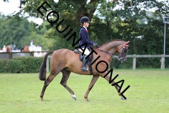 NNP-2834