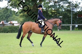 NNP-2837