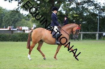 NNP-2863
