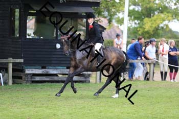 NNP-2937
