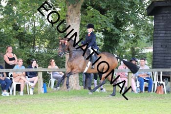 NNP-2978
