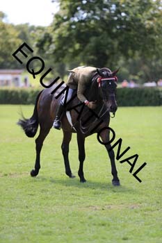 NNP-3201