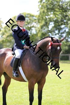 NNP-3252