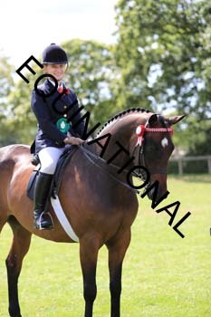 NNP-3253