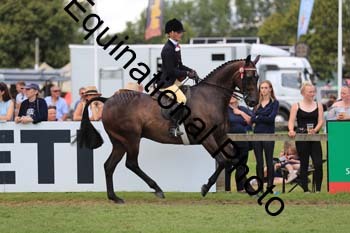 NNP-3464