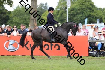 NNP-3496
