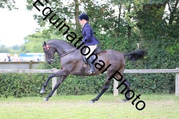 NNP-3636