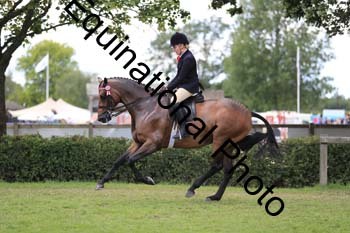 NNP-3642