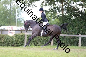 NNP-3647