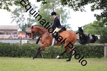 NNP-3667