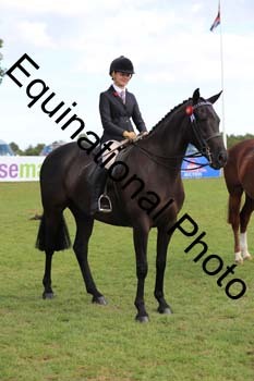 NNP-3779