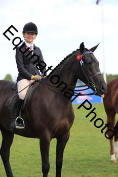 NNP-3782